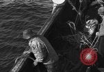 Immagine di Operazioni commerciali di pesca Massachusetts USA, 1935, secondo 27 filmato di repertorio 65675046886