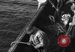 Immagine di Operazioni commerciali di pesca Massachusetts USA, 1935, secondo 28 filmato di repertorio 65675046886