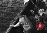 Immagine di Operazioni commerciali di pesca Massachusetts USA, 1935, secondo 30 filmato di repertorio 65675046886