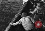 Immagine di Operazioni commerciali di pesca Massachusetts USA, 1935, secondo 31 filmato di repertorio 65675046886