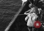 Immagine di Operazioni commerciali di pesca Massachusetts USA, 1935, secondo 32 filmato di repertorio 65675046886