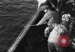 Immagine di Operazioni commerciali di pesca Massachusetts USA, 1935, secondo 33 filmato di repertorio 65675046886