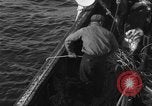 Immagine di Operazioni commerciali di pesca Massachusetts USA, 1935, secondo 38 filmato di repertorio 65675046886
