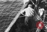 Immagine di Operazioni commerciali di pesca Massachusetts USA, 1935, secondo 39 filmato di repertorio 65675046886