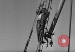 Immagine di Operazioni commerciali di pesca Massachusetts USA, 1935, secondo 50 filmato di repertorio 65675046886