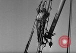 Immagine di Operazioni commerciali di pesca Massachusetts USA, 1935, secondo 54 filmato di repertorio 65675046886