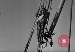Immagine di Operazioni commerciali di pesca Massachusetts USA, 1935, secondo 58 filmato di repertorio 65675046886