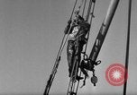 Immagine di Operazioni commerciali di pesca Massachusetts USA, 1935, secondo 60 filmato di repertorio 65675046886