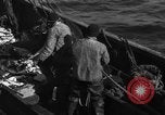 Image la pêche commerciale Massachusetts USA, 1935, de la seconde 12 séquences d'archives historiques vidéo 65675046887