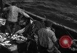Image la pêche commerciale Massachusetts USA, 1935, de la seconde 14 séquences d'archives historiques vidéo 65675046887