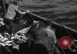 Image la pêche commerciale Massachusetts USA, 1935, de la seconde 16 séquences d'archives historiques vidéo 65675046887