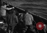 Image la pêche commerciale Massachusetts USA, 1935, de la seconde 18 séquences d'archives historiques vidéo 65675046887