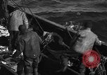 Image la pêche commerciale Massachusetts USA, 1935, de la seconde 20 séquences d'archives historiques vidéo 65675046887