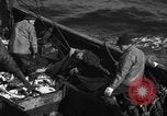 Image la pêche commerciale Massachusetts USA, 1935, de la seconde 22 séquences d'archives historiques vidéo 65675046887