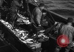 Image la pêche commerciale Massachusetts USA, 1935, de la seconde 27 séquences d'archives historiques vidéo 65675046887