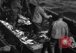 Image la pêche commerciale Massachusetts USA, 1935, de la seconde 29 séquences d'archives historiques vidéo 65675046887