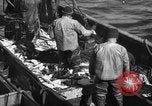Image la pêche commerciale Massachusetts USA, 1935, de la seconde 31 séquences d'archives historiques vidéo 65675046887