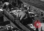 Image la pêche commerciale Massachusetts USA, 1935, de la seconde 53 séquences d'archives historiques vidéo 65675046887