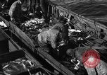 Image la pêche commerciale Massachusetts USA, 1935, de la seconde 56 séquences d'archives historiques vidéo 65675046887
