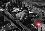 Image la pêche commerciale Massachusetts USA, 1935, de la seconde 57 séquences d'archives historiques vidéo 65675046887