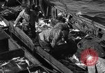 Image la pêche commerciale Massachusetts USA, 1935, de la seconde 58 séquences d'archives historiques vidéo 65675046887