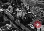 Image la pêche commerciale Massachusetts USA, 1935, de la seconde 59 séquences d'archives historiques vidéo 65675046887