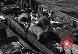 Image la pêche commerciale Massachusetts USA, 1935, de la seconde 62 séquences d'archives historiques vidéo 65675046887