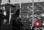 Image of sea gulls Massachusetts USA, 1935, second 6 stock footage video 65675046889