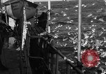 Image of sea gulls Massachusetts USA, 1935, second 7 stock footage video 65675046889