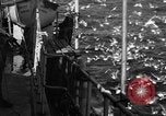 Image of sea gulls Massachusetts USA, 1935, second 8 stock footage video 65675046889