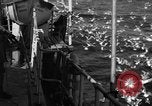 Image of sea gulls Massachusetts USA, 1935, second 9 stock footage video 65675046889
