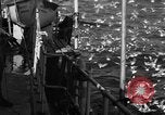 Image of sea gulls Massachusetts USA, 1935, second 10 stock footage video 65675046889