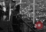 Image of sea gulls Massachusetts USA, 1935, second 11 stock footage video 65675046889