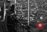 Image of sea gulls Massachusetts USA, 1935, second 13 stock footage video 65675046889