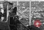 Image of sea gulls Massachusetts USA, 1935, second 17 stock footage video 65675046889
