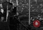 Image of sea gulls Massachusetts USA, 1935, second 26 stock footage video 65675046889