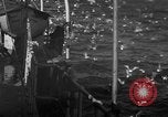 Image of sea gulls Massachusetts USA, 1935, second 27 stock footage video 65675046889