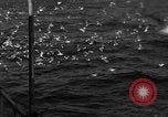 Image of sea gulls Massachusetts USA, 1935, second 38 stock footage video 65675046889