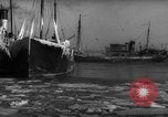Image of Boston Fish Pier Boston Massachusetts USA, 1935, second 44 stock footage video 65675046890