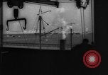 Image of Unloading fish Boston Massachusetts USA, 1935, second 53 stock footage video 65675046895