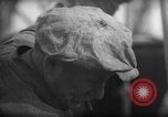 Image of Processing fresh fish Boston Massachusetts USA, 1935, second 19 stock footage video 65675046909