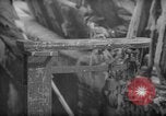 Image of Processing fresh fish Boston Massachusetts USA, 1935, second 29 stock footage video 65675046909