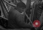 Image of Processing fresh fish Boston Massachusetts USA, 1935, second 32 stock footage video 65675046909