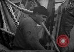 Image of Processing fresh fish Boston Massachusetts USA, 1935, second 33 stock footage video 65675046909