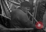 Image of Processing fresh fish Boston Massachusetts USA, 1935, second 36 stock footage video 65675046909