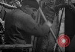 Image of Processing fresh fish Boston Massachusetts USA, 1935, second 39 stock footage video 65675046909