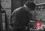 Image of Processing fresh fish Boston Massachusetts USA, 1935, second 60 stock footage video 65675046909
