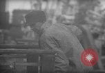 Image of weighing fresh caught fish Boston Massachusetts USA, 1935, second 12 stock footage video 65675046910