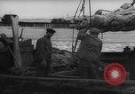 Image of weighing fresh caught fish Boston Massachusetts USA, 1935, second 36 stock footage video 65675046910