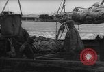 Image of weighing fresh caught fish Boston Massachusetts USA, 1935, second 38 stock footage video 65675046910